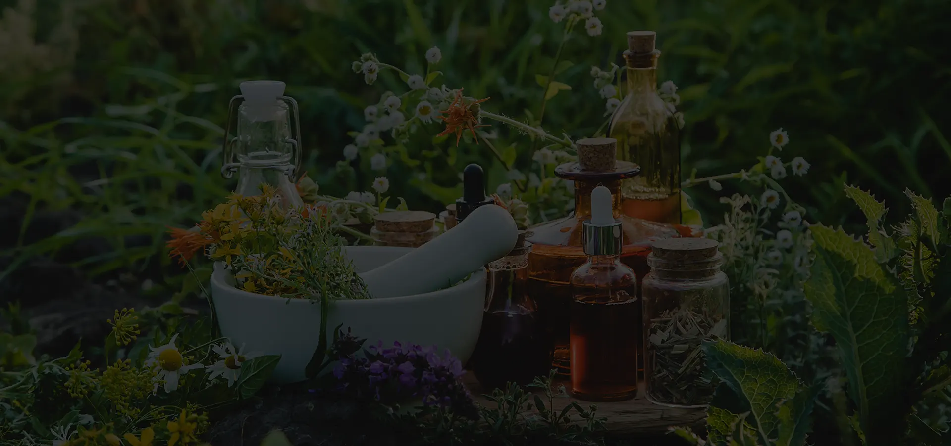 Harmonie entre traditions anciennes et sciences actuelles